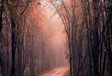 sheng game胜游亚洲:场上五人,三个来自广东 徐中锋表现亮眼,1.78的身高用实力证明了自己….