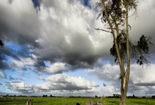 SG胜游官网:2024年全国五子棋校际联赛河北赛区决赛圆满结束.