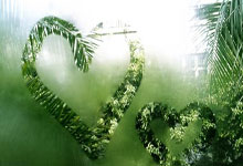 sheng game胜游亚洲:20-21賽季英超聯賽第23輪比賽集錦.