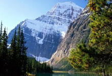 张本智和回应淘汰林高远:3局都在毫厘之间!日媒:入8强剑指连冠.